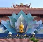 ভিয়েতনামের থান ট্যাম প্যাগোডায় এক লক্ষাধিক ভক্তের শ্রদ্ধা নিবেদন