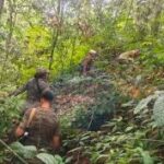 আসাম-অরুণাচল সীমান্ত থেকে নিষিদ্ধ উলফা(আই)-এর ‘অপারেশনাল কমান্ডার’ রূপম অসম গ্রেপ্তার