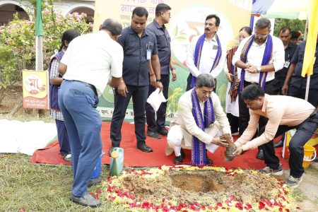 পরিবেশ রক্ষায় বৃক্ষরোপণ একটা গণ&hellip;