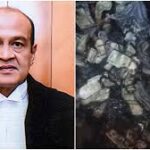 বিচারপতি বর্মার বাড়িতে বিপুল পরিমাণ নগদ টাকার হদিশ, স্বপ্রণোদিত অভিযোগ না জানানোয় সন্দেহজনক আচরণ: সুপ্রিম কোর্ট নিযুক্ত তদন্ত কমিটি