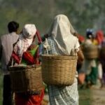মোদী সরকারের প্রচেষ্টায় সামাজিক সুরক্ষা কভারেজে ঐতিহাসিক বিস্তার, আইএলওর স্বীকৃতি ভারতের ৯৪ কোটির বেশি নাগরিক এখন সুরক্ষিত