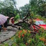 কালবৈশাখীর তাণ্ডবে বিপর্যস্ত জোলাইবাড়ী, গাড়ির উপর গাছ পড়ে চাঞ্চল্য