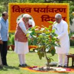 বিশ্ব পরিবেশ দিবসে ‘এক পেড় মা কে নাম’ উদ্যোগে অংশ নিয়ে অরাবল্লি সবুজ প্রাচীর প্রকল্পকে জোরদার করলেন প্রধানমন্ত্রী