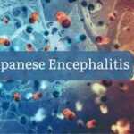 গুয়াহাটিতে জাপানিজ এনসেফালাইটিসে মৃত্যু ১৩ জনের, রাজ্যজুড়ে সতর্কতা জোরদার