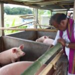 বাগমা এগ্রিপ্রোডিউসার্স কোম্পানী লিমিটেড পরিদর্শনে রাজ্যপাল