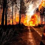 পর্তুগাল ও স্পেনে দাবানলের তাণ্ডব: জনজীবন বিপর্যস্ত, জারি রেড অ্যালার্ট