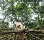 ইউনেস্কো স্বীকৃতির পক্ষে অর্থমন্ত্রী নির্মলা সীতারমনের সমর্থন, মেঘালয়ের জীবন্ত মূল সেতুগুলিকে বিশ্বমঞ্চে তুলে ধরার আহ্বান