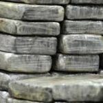 মিজোরামে যৌথ অভিযানে ৪২৩ গ্রাম হেরোইন উদ্ধার, তিন মাদক পাচারকারী গ্রেফতার