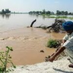 পাঞ্জাবে বন্যা পরিস্থিতি উদ্বেগজনক: সতর্কতায় একাধিক জেলা, নদীগুলি প্রবল স্রোতে বিপদসীমার ওপরে