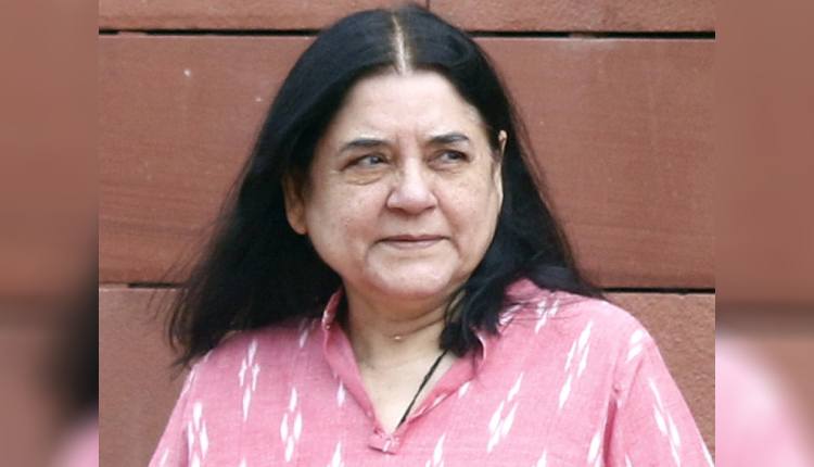 মেনকা গান্ধী স্বাগত জানালেন সুপ্রিম&hellip;