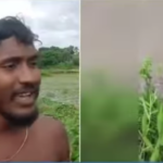 দুই যুবকের সাহসে প্রাণে বাঁচলেন ৫২ বছরের মহিলা