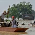 পাঞ্জাবে ভয়াবহ বন্যা: ১,০১৮টি গ্রাম প্লাবিত, চলছে ব্যাপক ত্রাণ ও উদ্ধার অভিযান