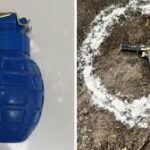 পাঞ্জাবে বাবর খালসা জঙ্গি চক্রের দুই সদস্য গ্রেফতার, উদ্ধার চীনা গ্রেনেড