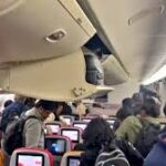 এয়ার ইন্ডিয়ার সান ফ্রান্সিসকো-মুম্বাই ফ্লাইটে আরশোলা, যাত্রীদের ক্ষোভ, আসন বদল কর্তৃপক্ষের