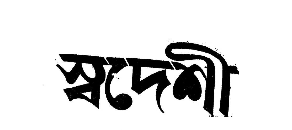 দুর্গা চৌমুহনীতে স্বদেশী জাগরণের বার্তা, পথসভা ও লিফলেট বিতরণ