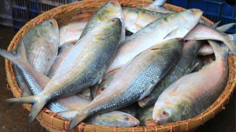 দাম সামলাতে না পেরে ভারতে&hellip;