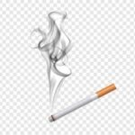 গভীর রাতে রুটিন তল্লাশিতে ৫০ লক্ষ টাকার বার্মিজ সিগারেট উদ্ধার