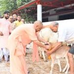 গোবর্ধন পূজা উপলক্ষে মুখ্যমন্ত্রী যোগী আদিত্যনাথের শুভেচ্ছা বার্তা, গোরক্ষনাথ মন্দিরে পালন করলেন ঐতিহ্যবাহী পূজা