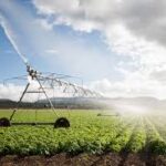 দেশের কৃষিক্ষেত্রে ভালো ফলন, উন্নত বর্ষা ও জলাশয়ে পর্যাপ্ত জলসংগ্রহ