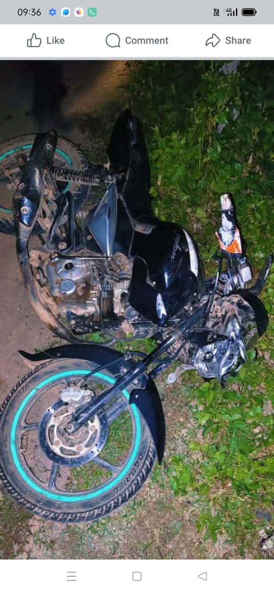 বাইক দুর্ঘটনায় মৃত্যু দুই ভাইয়ের