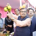 ত্রিপুরায় কমলা চাষের পরিমাণ ৩,৮৪৬ হেক্টর ছুঁয়েছে: মন্ত্রী