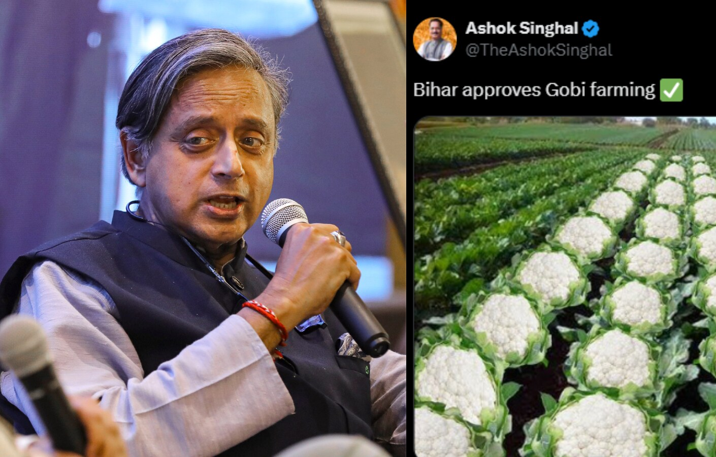 অসম মন্ত্রী আশোক সিংহালের পোস্টে কংগ্রেস সাংসদ শশী থারুরের প্রতিক্রিয়া