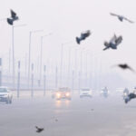 বায়ুদূষণে বাড়ছে উদ্বেগ ও প্যানিক-জাতীয় উপসর্গ: জনস্বাস্থ্য নিয়ে সতর্ক করলেন চিকিৎসকরা