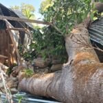 দুর্গাপুরে বটগাছের বিশাল শাখা ভেঙে রেশন দোকান লণ্ডভণ্ড, অল্পের জন্য রক্ষা ডিলারসহ বহু ভোক্তা