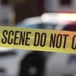 গোয়াদেলোপের সেন্ট-অ্যান-এ ক্রিসমাস উৎসবের প্রস্তুতি চলাকালে গাড়ির আঘাতে ১০ জন নিহত, ৯ জন আহত