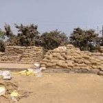 ছত্তিশগড়ে ২৬ হাজার কুইন্টাল ধান ‘গায়েব’, ইঁদুর এবং উইপোকাকে দায়ী করে বিতর্ক