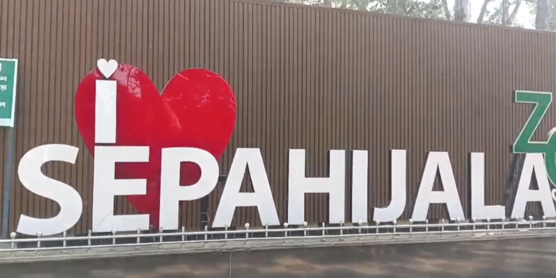 সিপাহিজলা চিড়িয়াখানায় ছড়িয়ে প্লাস্টিক আবর্জনা, ক্ষোভ প্রকাশ বিদেশি দম্পতির