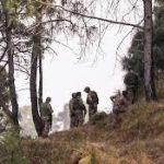কাশ্মীরে সন্ত্রাসীদের সন্ধানে পুনরায় অভিযান শুরু, এক নিরাপত্তাকর্মী আহত