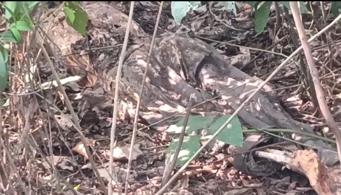 শহরের বুকে ফের মানব কঙ্কাল&hellip;