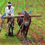 ভারত-আমেরিকা বাণিজ্য চুক্তি ‘একপেশে’, কৃষকদের জন্য ঝুঁকিপূর্ণ: কংগ্রেসের অভিযোগ