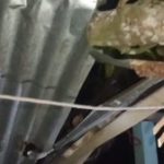 বসত ঘরে গাছ ভেঙ্গে পড়ে আহত মা ছেলে