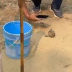 তিপ্রা মথা নেতার বাড়িতে বোমা নিক্ষেপ, জম্পুইজলায় চাঞ্চল্য