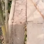 কেকমাছড়ায় মরণফাঁদে পরিণত লোহার ব্রিজ, চরম দুর্ভোগে এলাকাবাসী