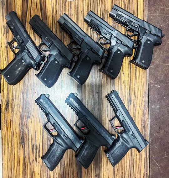 দিল্লিতে দুই অস্ত্র পাচারকারী গ্রেফতার, উদ্ধার ৩ পিস্তল ও ২৫ কার্তুজ