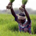 কৃষক ইস্যুতে মধ্যপ্রদেশ সরকারকে ঘেরার প্রস্তুতি কংগ্রেসের