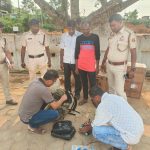 আগরতলা রেলস্টেশনে ৬ কেজির বেশি গাঁজাসহ যুবক আটক