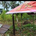 কালবৈশাখীর তাণ্ডবে লণ্ডভণ্ড জোলাইবাড়ি, শিলাবৃষ্টি ও গাছ ভেঙে পড়ায় ব্যাপক ক্ষয়ক্ষতি