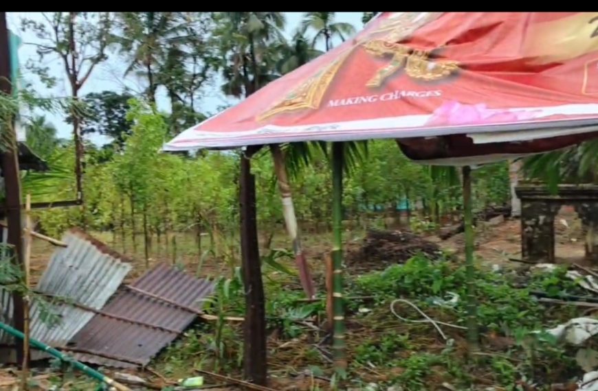 কালবৈশাখীর তাণ্ডবে লণ্ডভণ্ড জোলাইবাড়ি, শিলাবৃষ্টি ও গাছ ভেঙে পড়ায় ব্যাপক ক্ষয়ক্ষতি