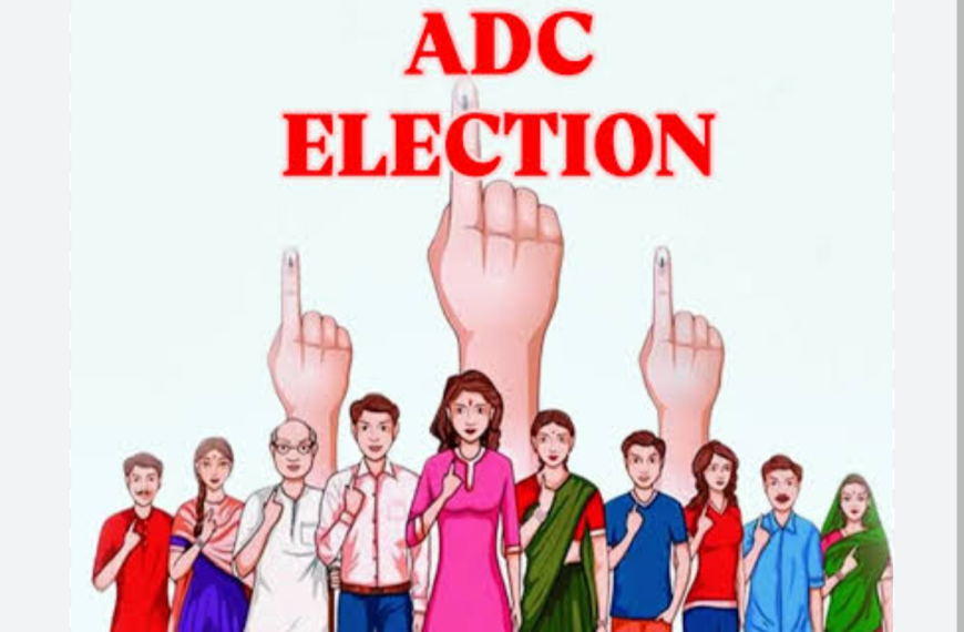 এডিসি নির্বাচনে বিজেপির প্রভারী দায়িত্বে লতা উসেন্দি