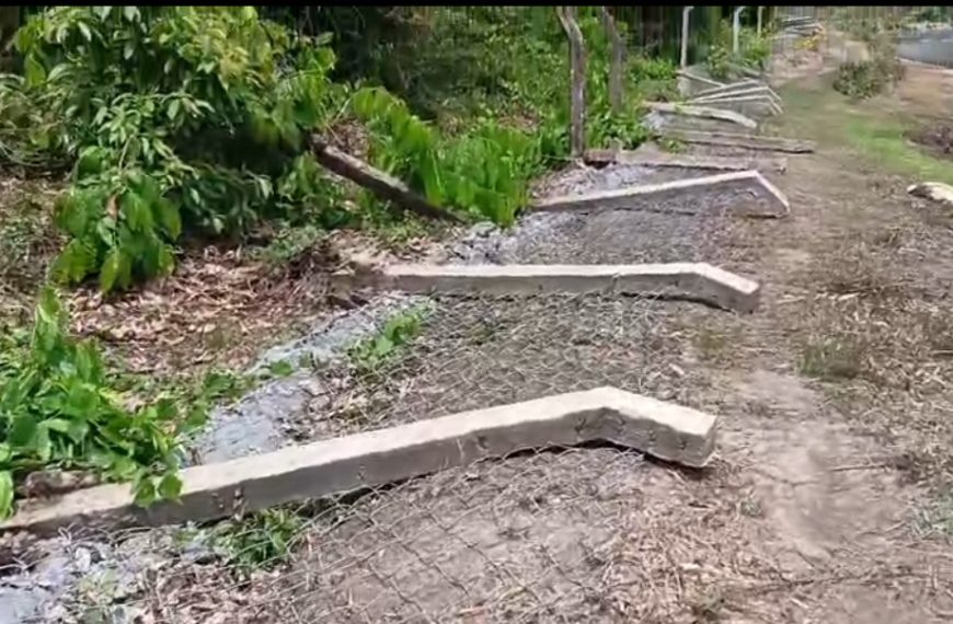 সিপাহিজলা অভয়ারণ্যে দুষ্কৃতীদের তাণ্ডব, ভাঙচুরে লক্ষ লক্ষ টাকার সরকারি সম্পদের ক্ষতি