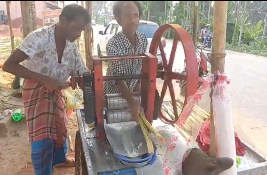 তীব্র দাবদাহে স্বস্তির ঠিকানা, মেলাঘরে কাজী মহাসিনের ভেজালহীন আখের রস ও ডাবের কদর