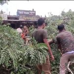 কালবৈশাখীর তাণ্ডবে লণ্ডভণ্ড ধর্মনগর শহর, ব্যাপক ক্ষয়ক্ষতি বিপর্যস্ত জনজীবন