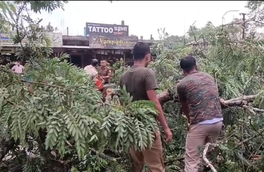 কালবৈশাখীর তাণ্ডবে লণ্ডভণ্ড ধর্মনগর শহর, ব্যাপক ক্ষয়ক্ষতি বিপর্যস্ত জনজীবন