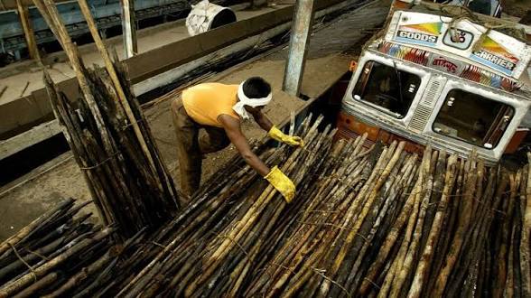 বাঁশ শিল্পে নতুন কর্মসংস্থানের জোয়ার, ব্রিটিশ আমলের আইন বদলের সুফল: প্রধানমন্ত্রী