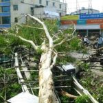 বিহারে আবহাওয়ার হঠাৎ পরিবর্তনে স্বস্তি, ঝড়-বৃষ্টিতে ১৩ জনের মৃত্যু