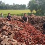 কর্মসংস্থানের খোঁজে ইট ভাঙার কাজে উপজাতি যুবকরা, উঠে এলো প্রত্যন্ত এলাকার বঞ্চনার ছবি